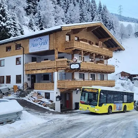Haus Gruebl Ξενοδοχείο με διαμερίσματα Wald im Pinzgau