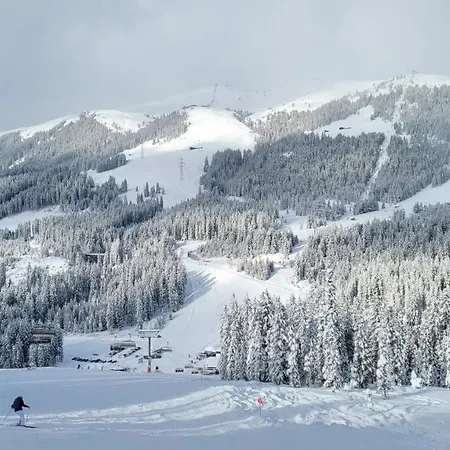 شقة فندقية Haus Gruebl 3*