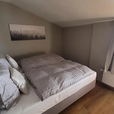 Haus Gruebl Ξενοδοχείο με διαμερίσματα Wald im Pinzgau