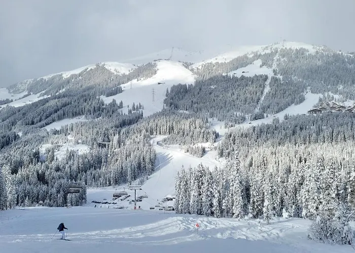 Aparthotel Haus Gruebl 3*